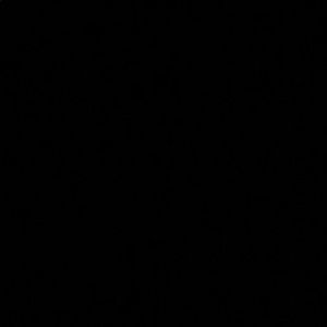 Meet your Posher, Jackson